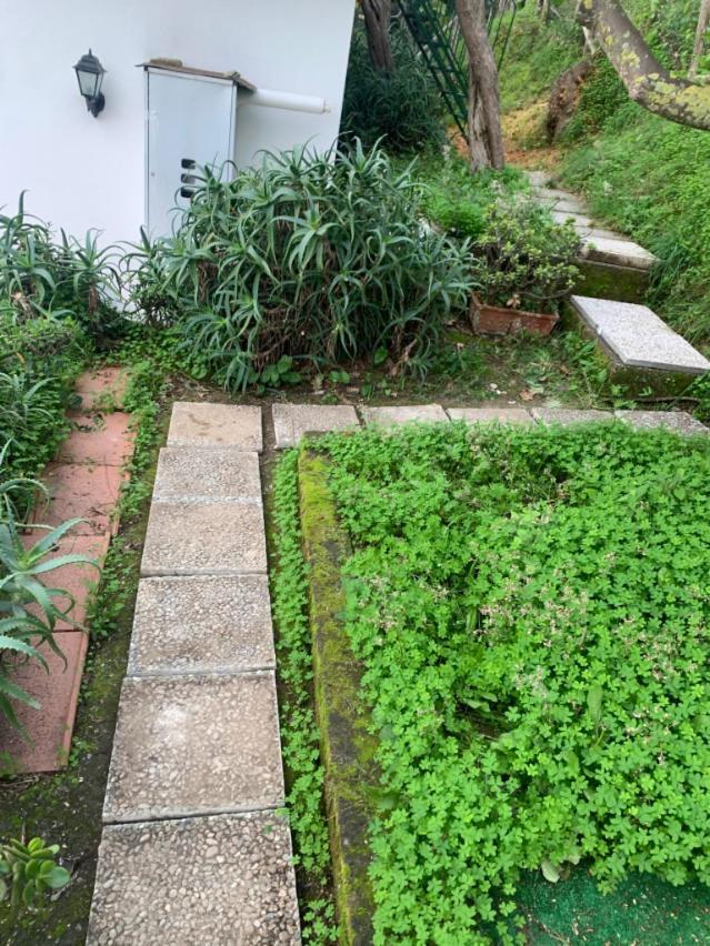 מסה לוברנסה Villa Panorama מראה חיצוני תמונה